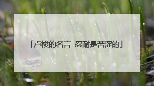 卢梭的名言 忍耐是苦涩的