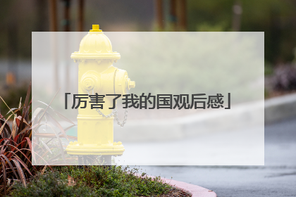 厉害了我的国观后感