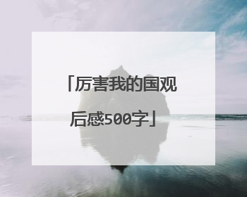 厉害我的国观后感500字