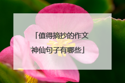 值得摘抄的作文神仙句子有哪些