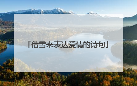借雪来表达爱情的诗句