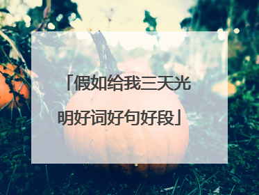 假如给我三天光明好词好句好段
