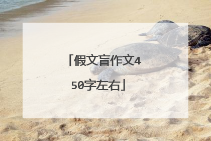 假文盲作文450字左右