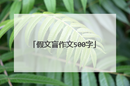 假文盲作文500字