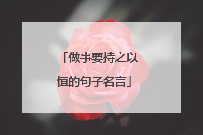 做事要持之以恒的句子名言