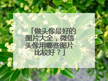 做头像最好的图片大全，微信头像用哪些图片比较好？