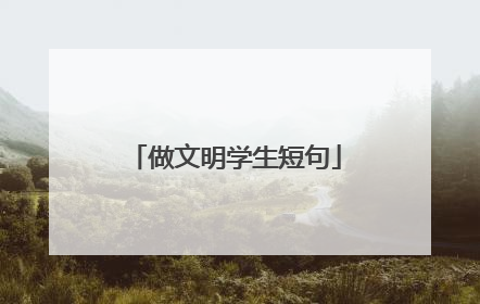 做文明学生短句