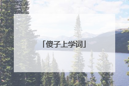傻子上学词
