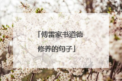 傅雷家书道德修养的句子