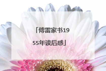傅雷家书1955年读后感
