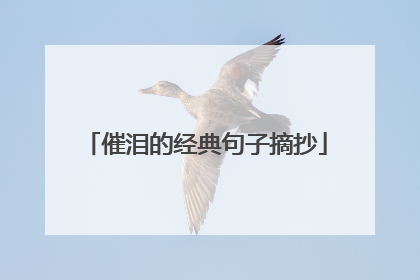 催泪的经典句子摘抄