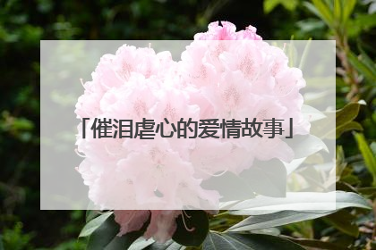 催泪虐心的爱情故事