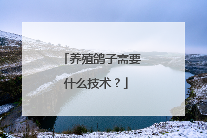 养殖鸽子需要什么技术？