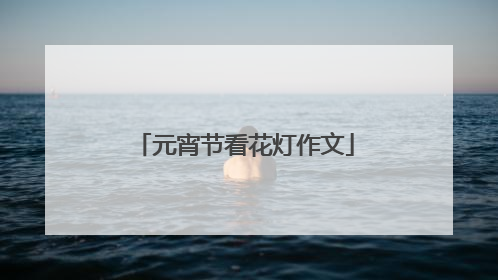 元宵节看花灯作文