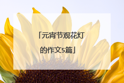元宵节观花灯的作文5篇