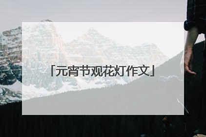 元宵节观花灯作文