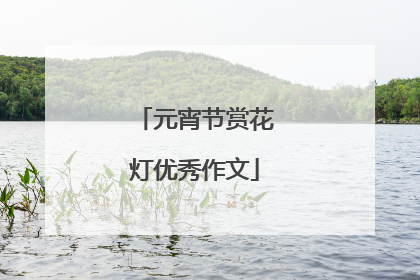 元宵节赏花灯优秀作文