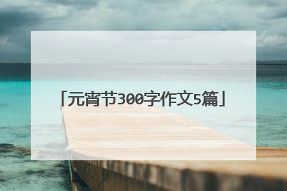 元宵节300字作文5篇