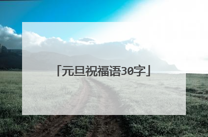 元旦祝福语30字