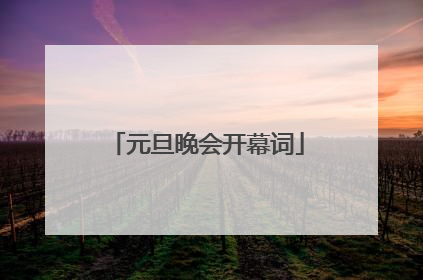 元旦晚会开幕词