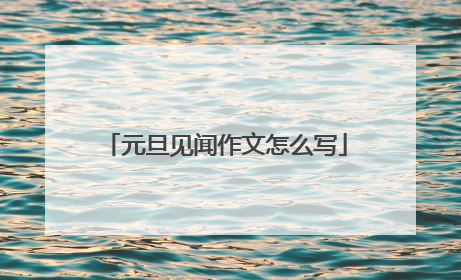 元旦见闻作文怎么写