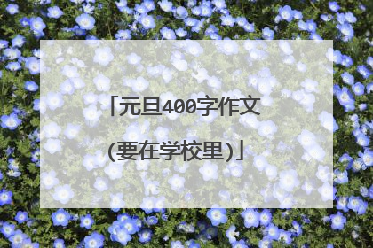 元旦400字作文(要在学校里)