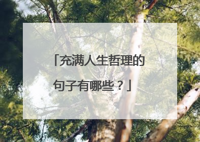 充满人生哲理的句子有哪些？