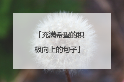 充满希望的积极向上的句子