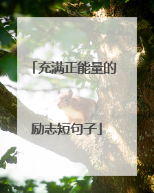 充满正能量的励志短句子