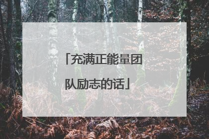 充满正能量团队励志的话