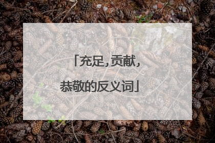 充足,贡献,恭敬的反义词