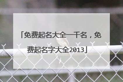 免费起名大全一千名,免费起名字大全2013