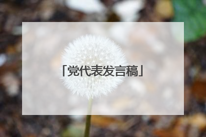 党代表发言稿