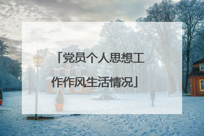 党员个人思想工作作风生活情况