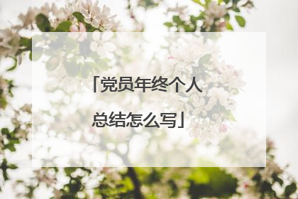 党员年终个人总结怎么写