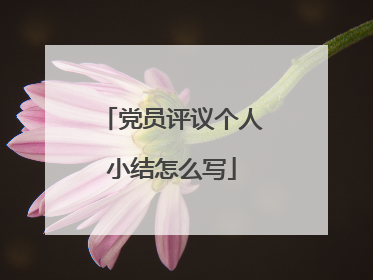 党员评议个人小结怎么写