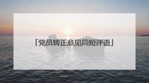 党员转正意见简短评语
