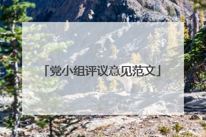 党小组评议意见范文