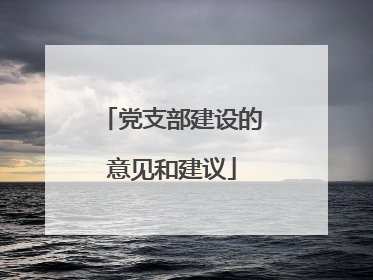 党支部建设的意见和建议