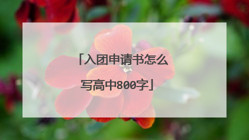 入团申请书怎么写高中800字