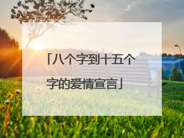 八个字到十五个字的爱情宣言