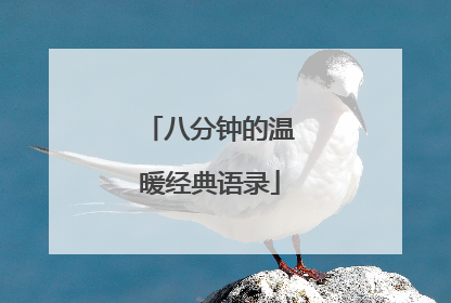 八分钟的温暖经典语录