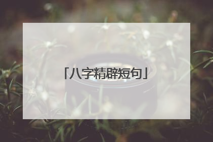 八字精辟短句