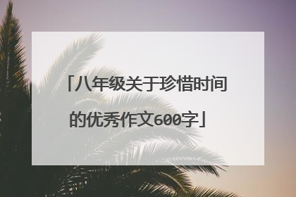 八年级关于珍惜时间的优秀作文600字