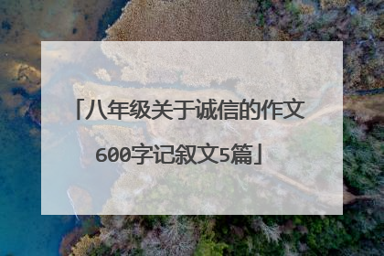 八年级关于诚信的作文600字记叙文5篇