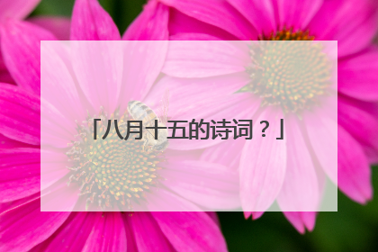 八月十五的诗词？