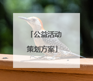 公益活动策划方案