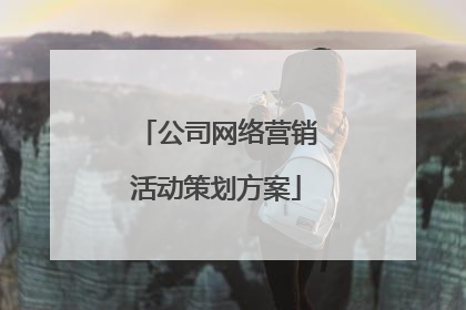 公司网络营销活动策划方案