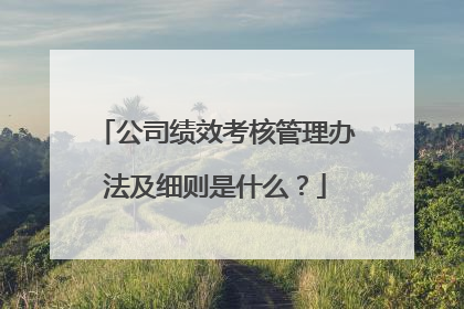公司绩效考核管理办法及细则是什么?