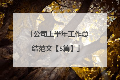 公司上半年工作总结范文【5篇】